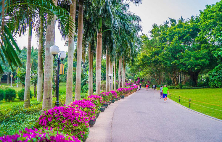 景觀設(shè)計的韻律探討圖片1